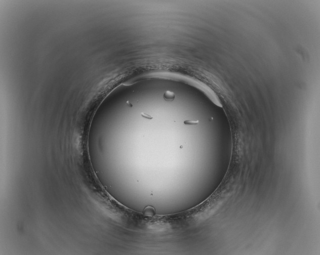 X0000111190258200907081302