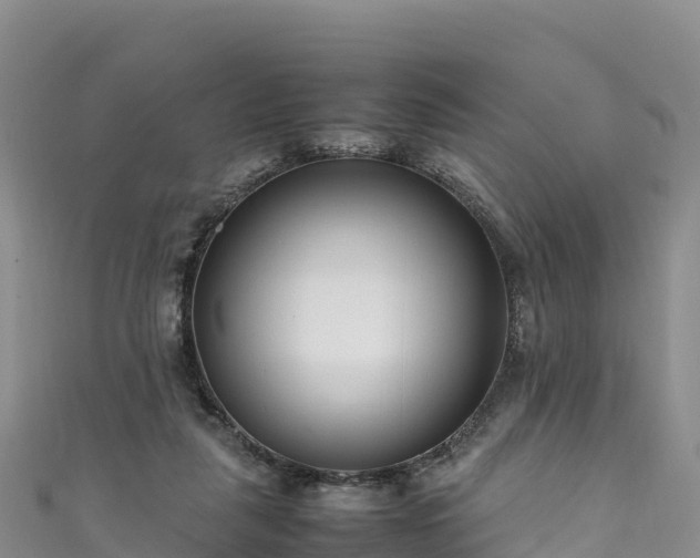 X0000111190259200907081302