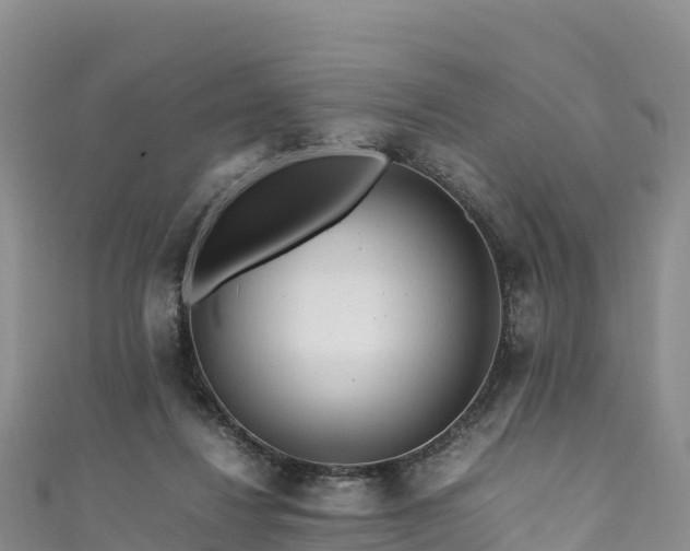 X0000111190260200907081302