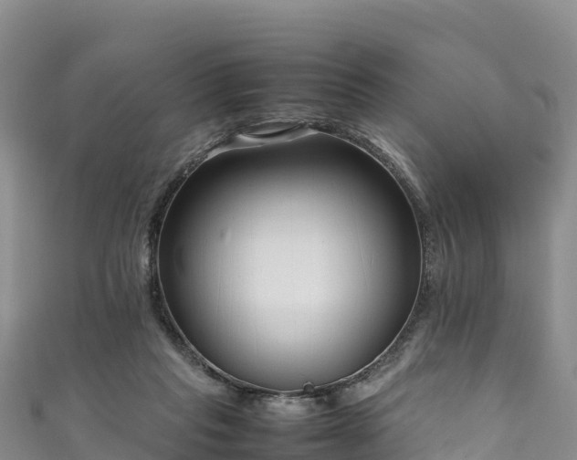 X0000111190261200907081302