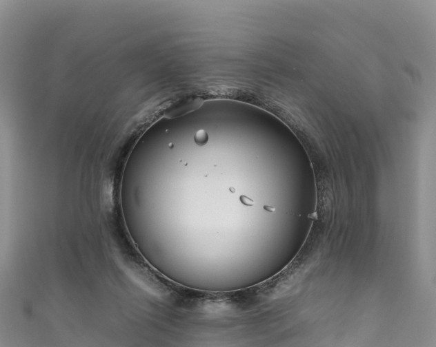 X0000111190262200907081302