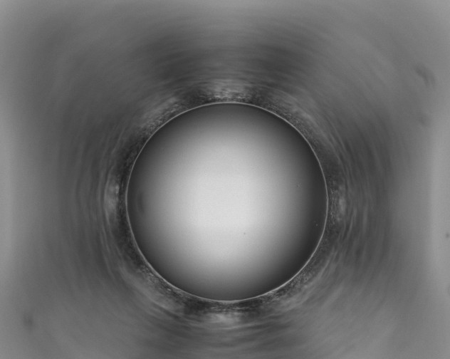 X0000111190263200907081302