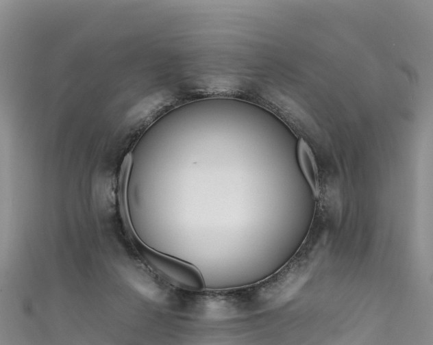 X0000111190264200907081302