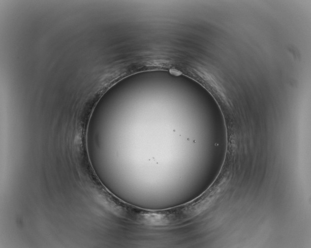 X0000111190265200907081302