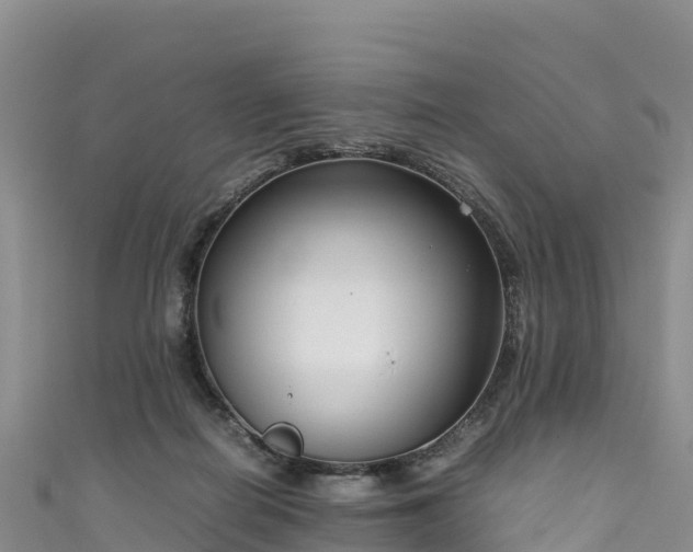 X0000111190266200907081302