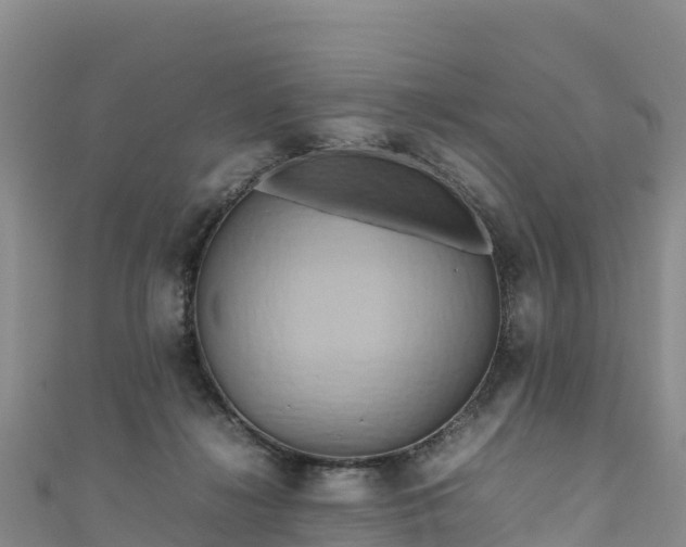 X0000111190268200907081302