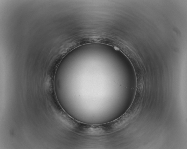 X0000111190270200907081302