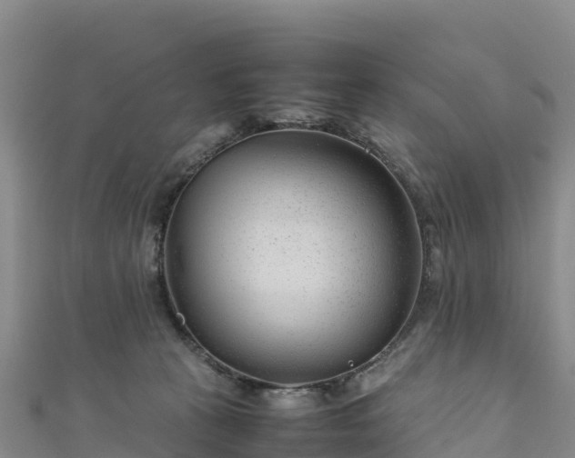 X0000111190273200907081302