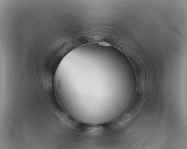 X0000111190274200907081302