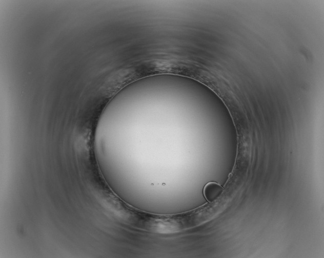 X0000111190275200907081302