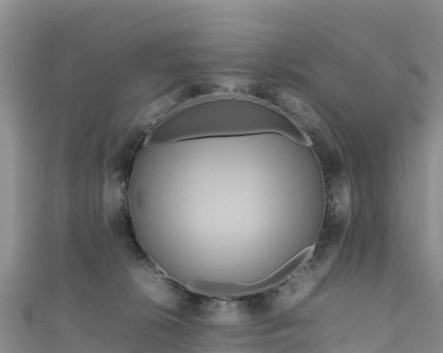 X0000111190276200907081302