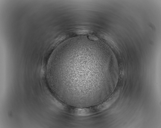 X0000111190277200907081302