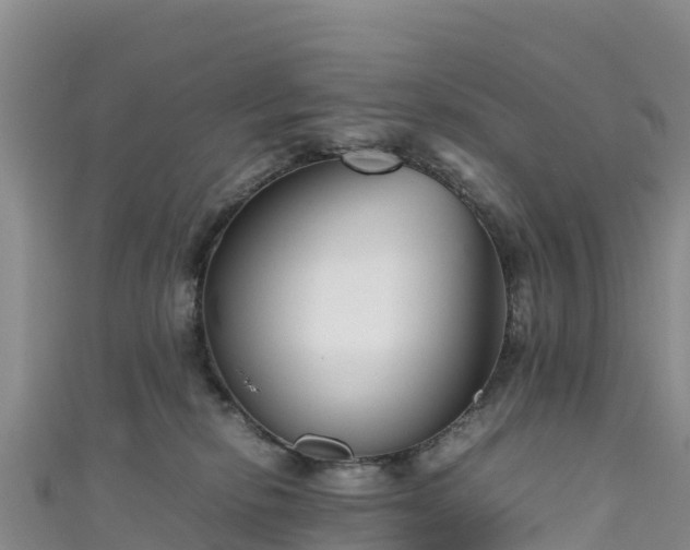 X0000111190278200907081302