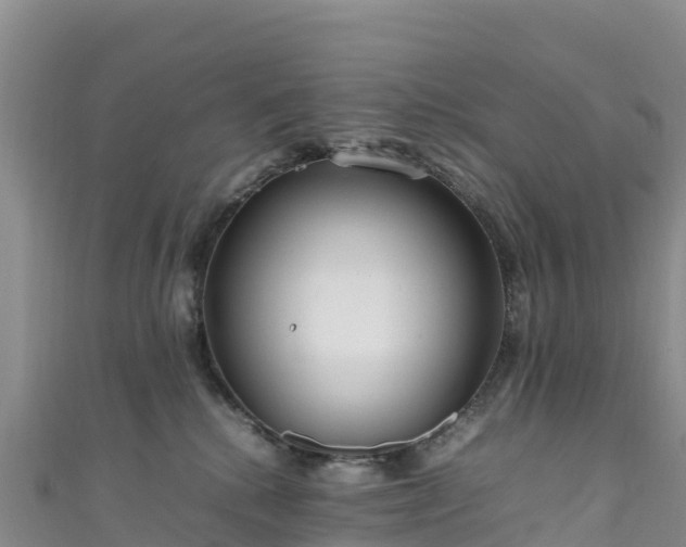 X0000111190280200907081302