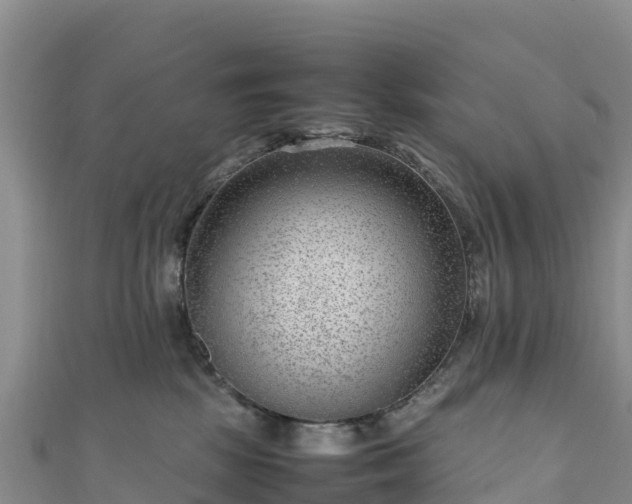 X0000111190281200907081302