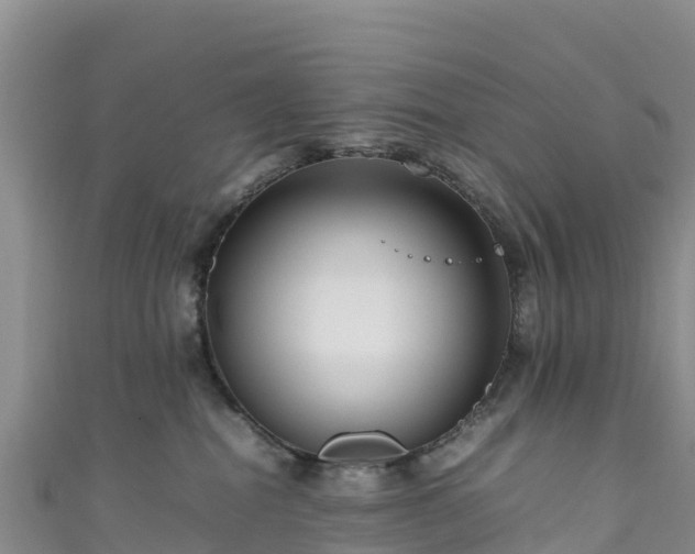 X0000111190282200907081302