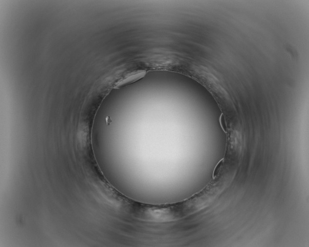 X0000111190283200907081302