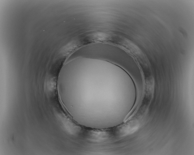 X0000111190284200907081302