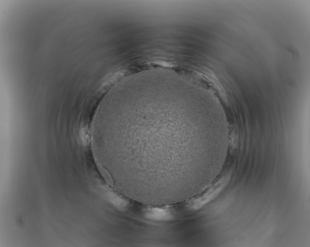 X0000111190285200907081302