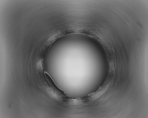 X0000111190286200907081302