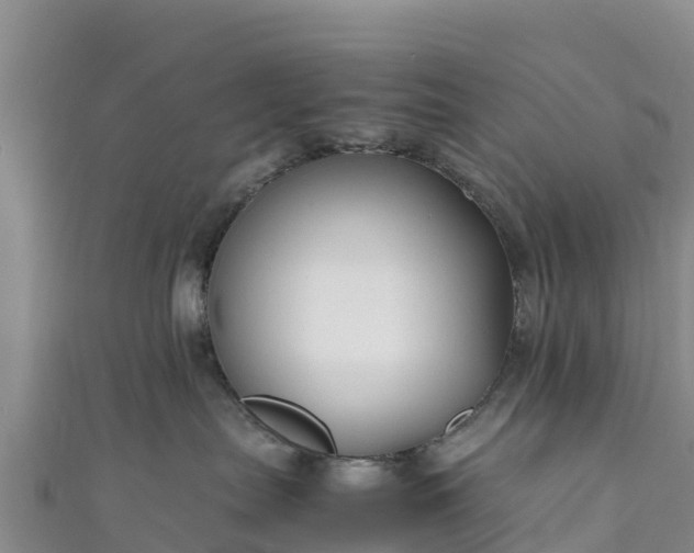 X0000111190287200907081302