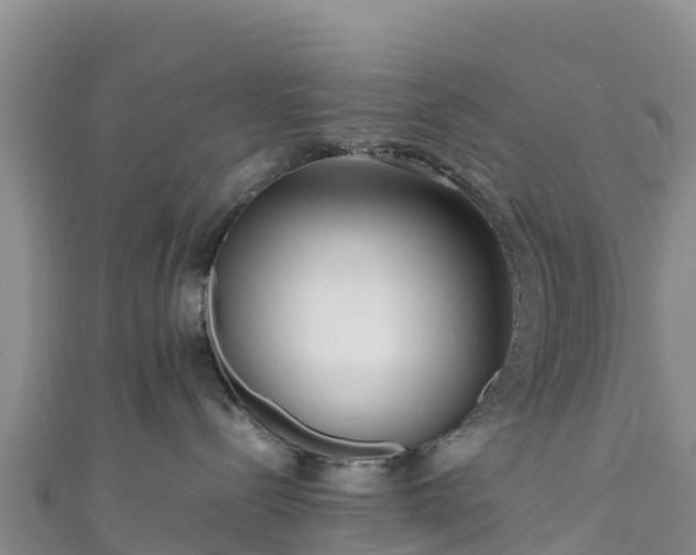 X0000111190288200907081302