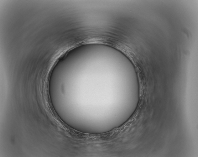 X0000111190289200907081302