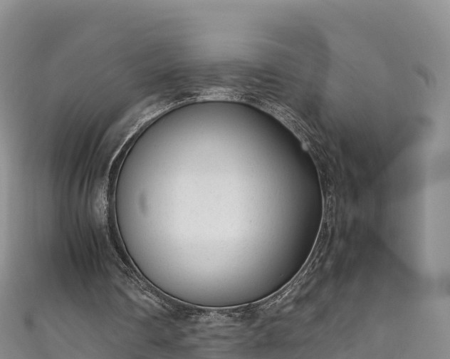 X0000111190290200907081302