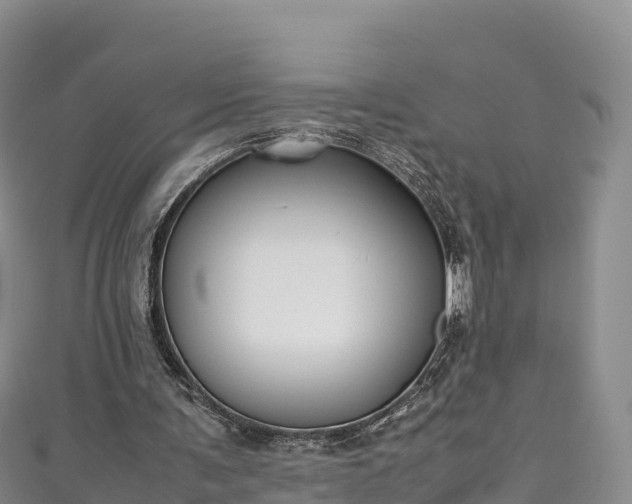 X0000111190291200907081302