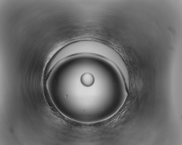 X0000111190292200907081302