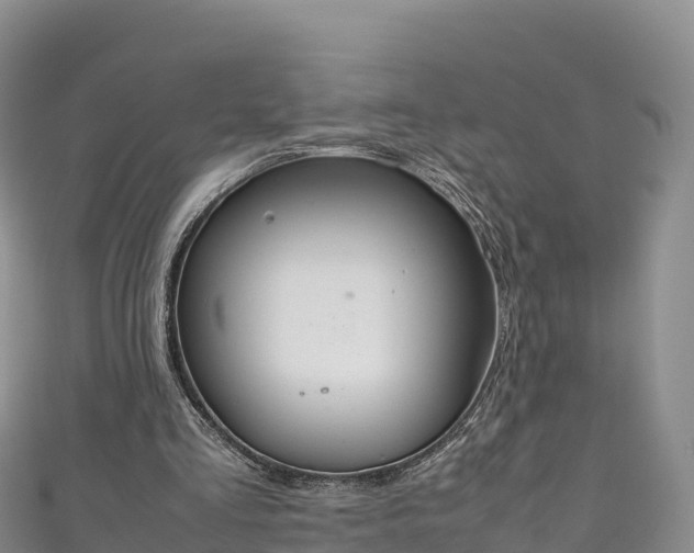 X0000111190293200907081302