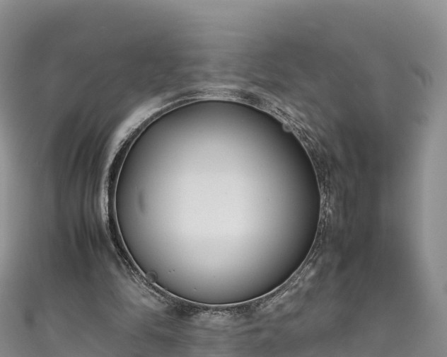 X0000111190294200907081302