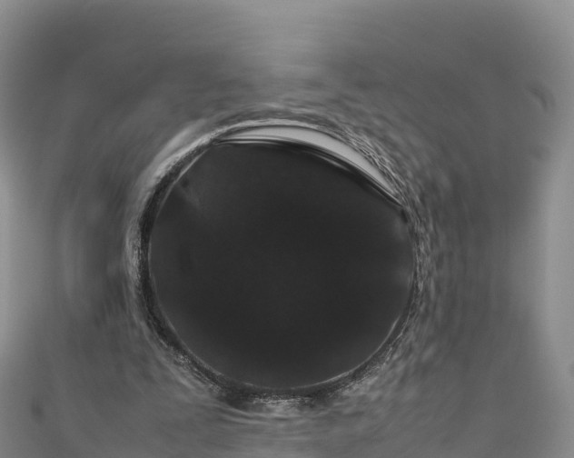 X0000111190295200907081302