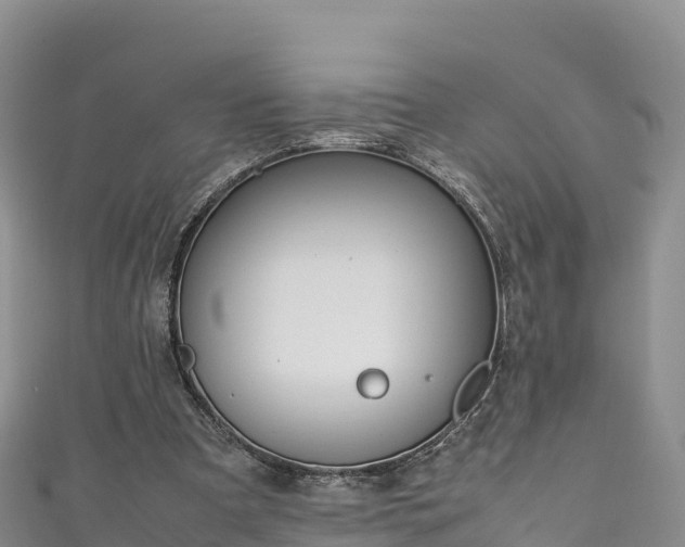 X0000111190297200907081302