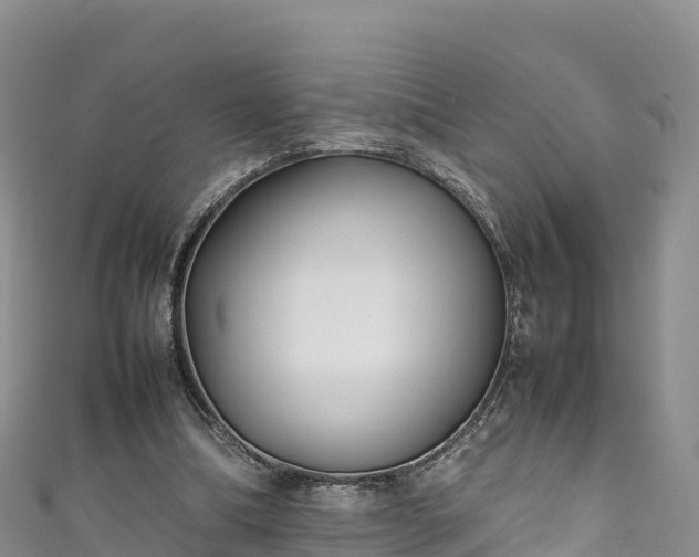 X0000111190298200907081302