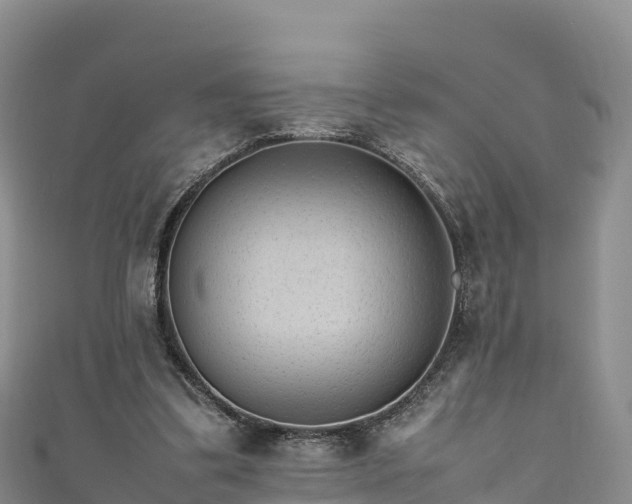 X0000111190299200907081302