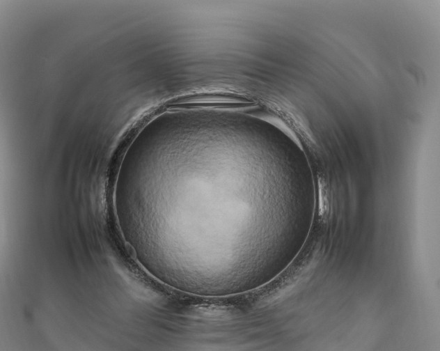 X0000111190300200907081301