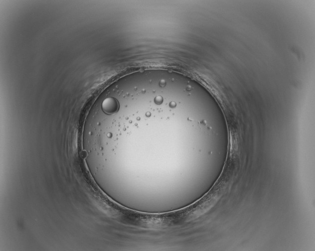 X0000111190301200907081301