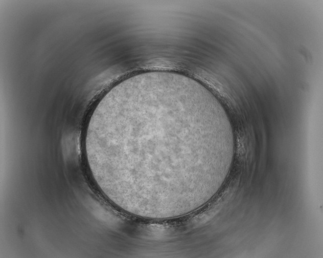 X0000111190302200907081301