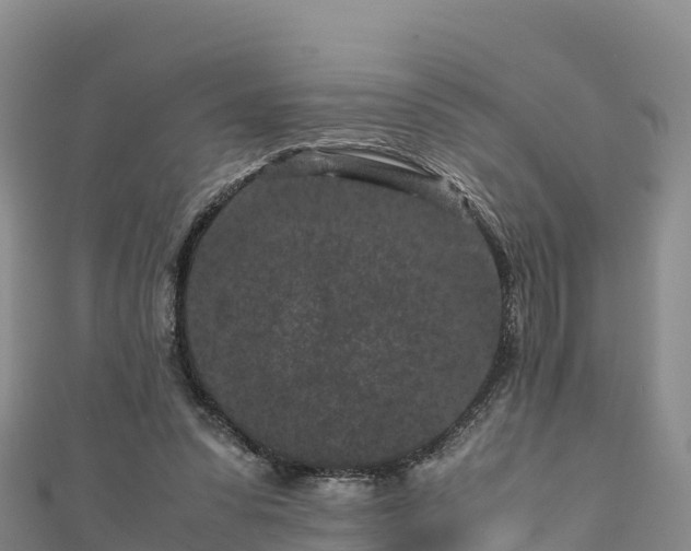 X0000111190303200907081301