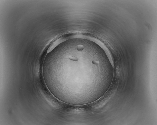 X0000111190304200907081301