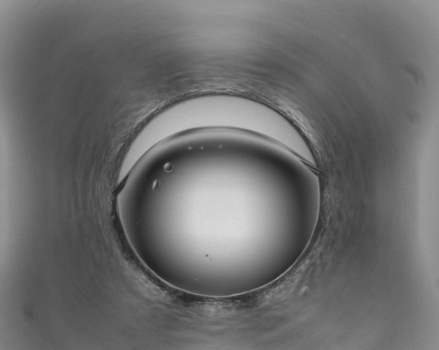 X0000111190305200907081301