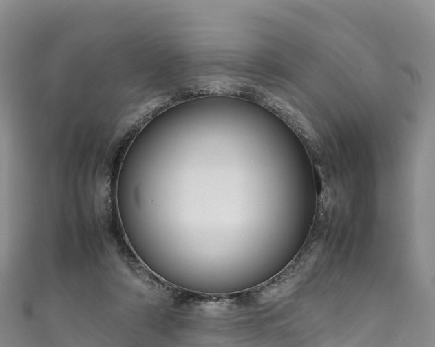 X0000111190306200907081301