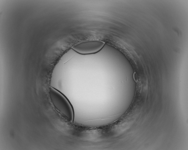 X0000111190307200907081301