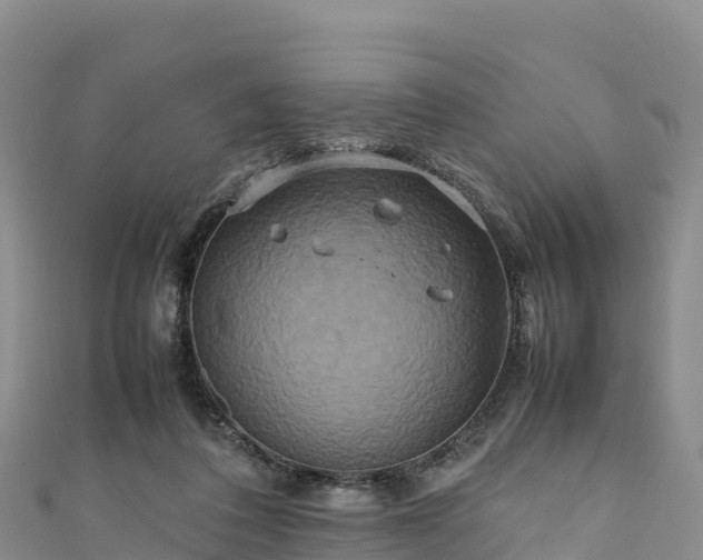 X0000111190308200907081301