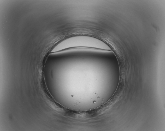 X0000111190309200907081301