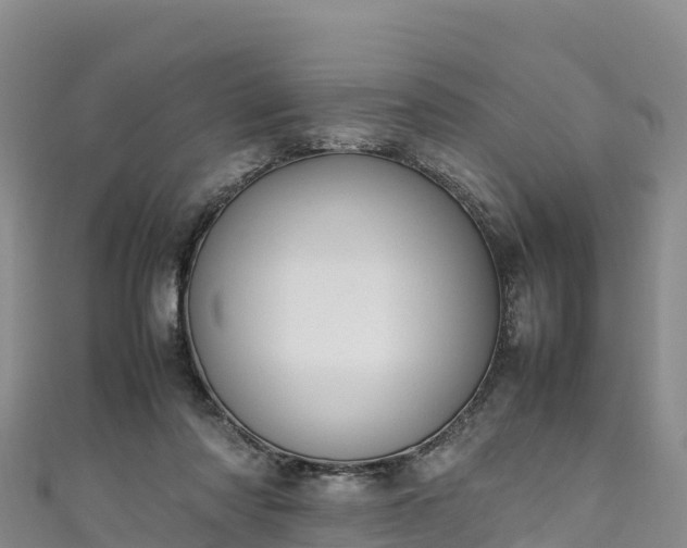 X0000111190310200907081301