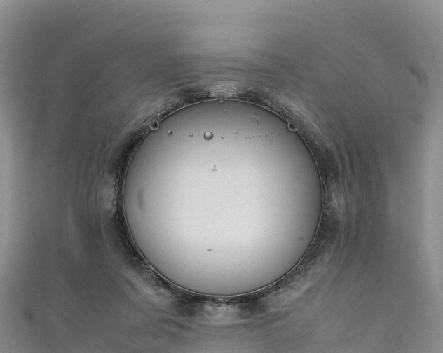 X0000111190311200907081301