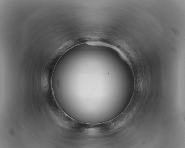 X0000111190312200907081301