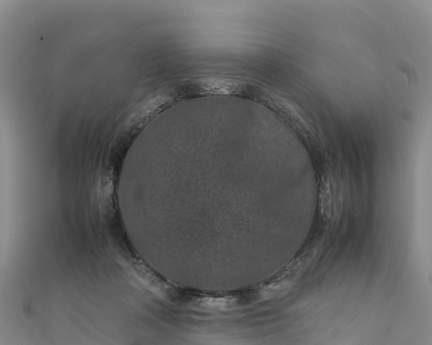 X0000111190314200907081301